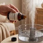 Esencia Soluble para Humidificador No Aceite 100ml - Mandarina Oud